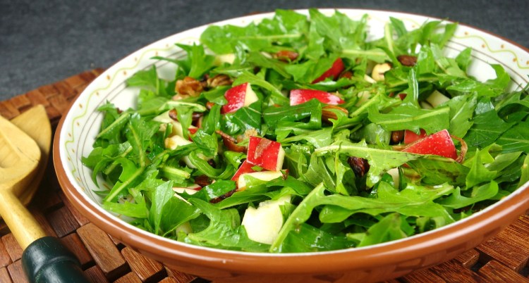 ForagingNetwork's tweet card. The Wild Dandelion Salad with Honey-Mustard Dressing. This refreshing and vibrant salad celebrates the beauty of foraged dandelions, turning these humble weeds into a culinary delight. Packed with...