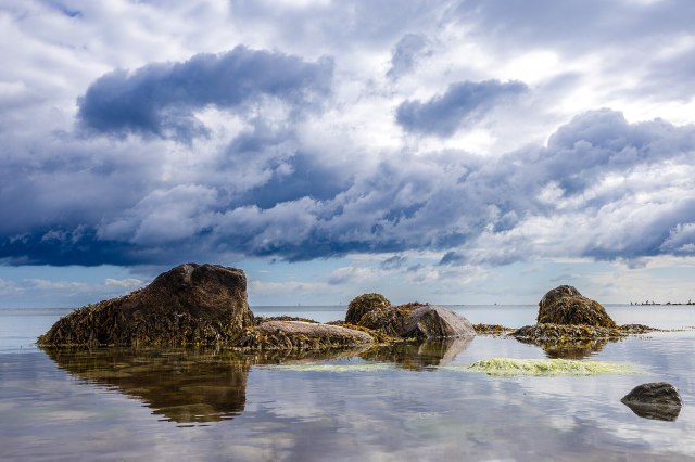 vrandezo's tweet card. Wikimedia’s vision is a world in which everyone can share in the sum of all knowledge. And yet, some of the biggest challenges towards realizing this goal are the barriers that exist between our 30…