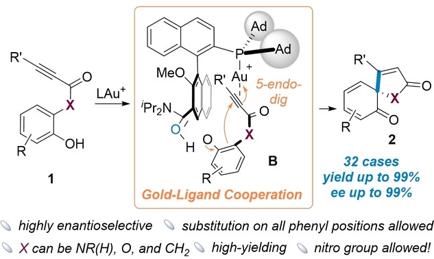 angew_chem's tweet card. Asymmetric dearomatization of phenols was achieved by employing chiral bifunctional phosphine ligands in cooperative gold catalysis. This transformation demonstrated a remarkable generality, afford...