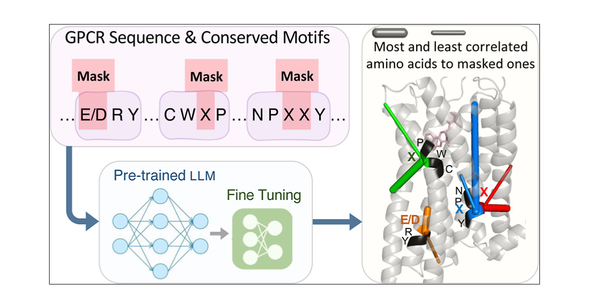 AmirBaratiF's tweet card. With the rise of transformers and large language models (LLMs) in chemistry and biology, new avenues for the design and understanding of therapeutics have been opened up to the scientific community....