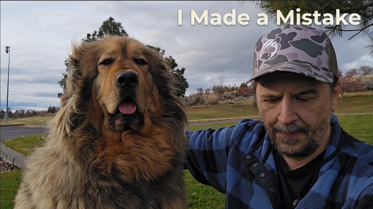 wheresdmc68's tweet card. We Have a Pack Problem - Time To Fix It