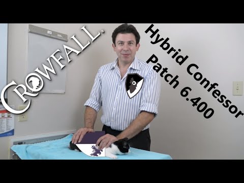 xarrayne's tweet card. Squish That Flank - Crowfall Confessor