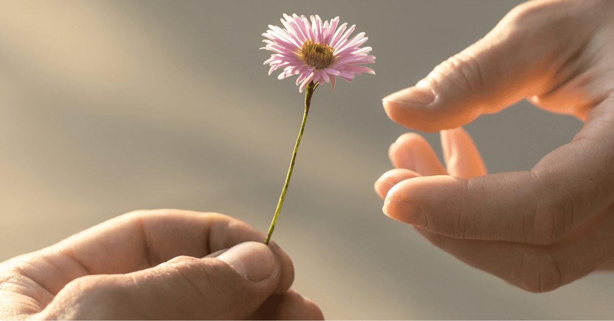 ProjectTwoRule's tweet card. Sustainable charities and aid types that help break, not continue, the poverty cycle.