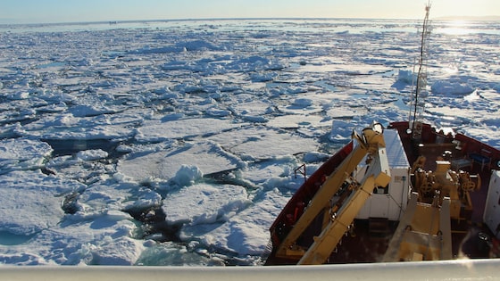 ChelseaRochman's tweet card. The results suggest widespread exposure is becoming inescapable, even for people living in the most remote areas of the globe