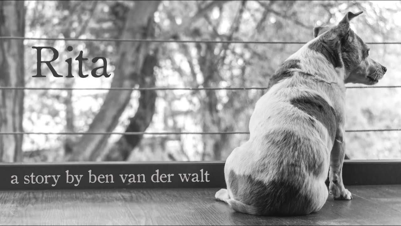 bennavanderwalt's tweet card. Rita - A Film About My Childhood Dog