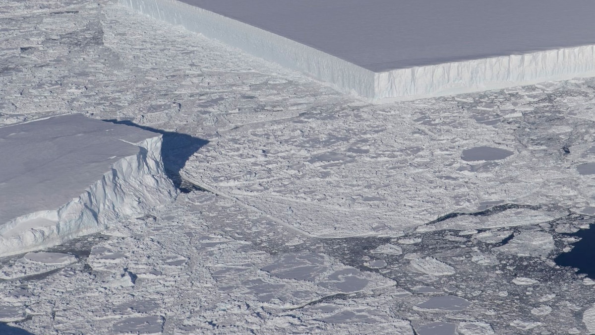 Sarah_Gibbens's tweet card. Though it doesn't fit our typical image of icebergs, experts say the common shape has a simple explanation.