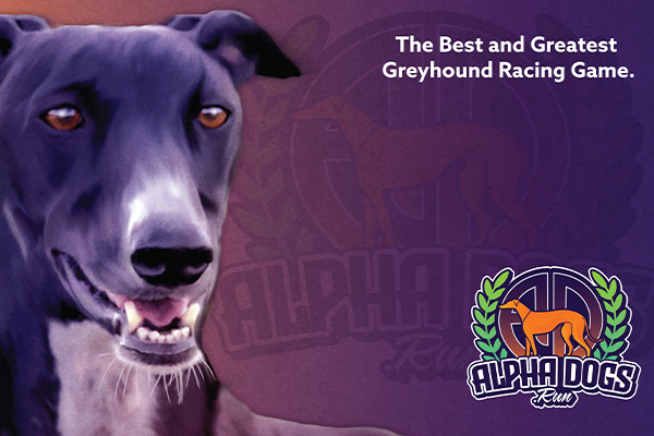 AlphadogsRun's tweet card. Alphadogs.run is a collection of 32768 unique Greyhound NFTs. Built on the Ethereum blockchain, 5 separate bloodlines each with their own traits.