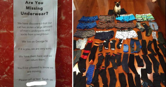 chris_r_wong's tweet card. Welcome to the Shirk Report where you will find 25 funny images, 10 interesting articles and 5 entertaining videos from the last 7 days of sifting