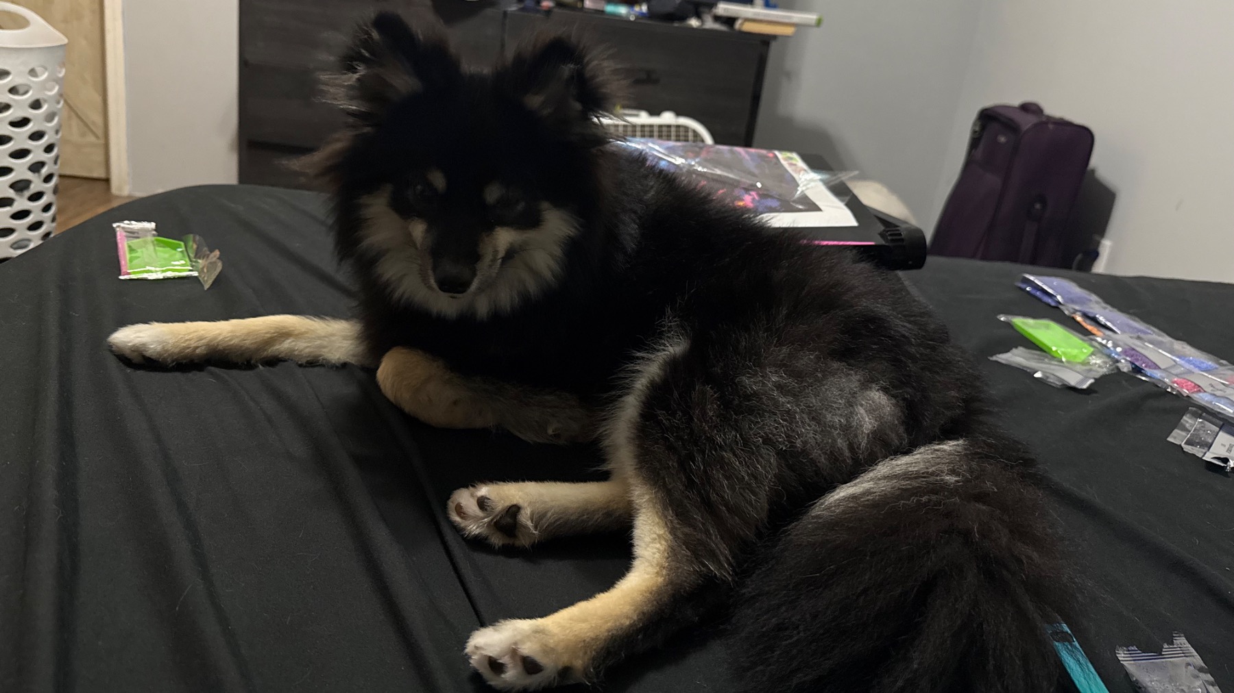 YURIPR1NCESS's tweet card. *spotfund is the easiest place to create beautiful and free online fundraisers. It takes just minutes to start raising money today.