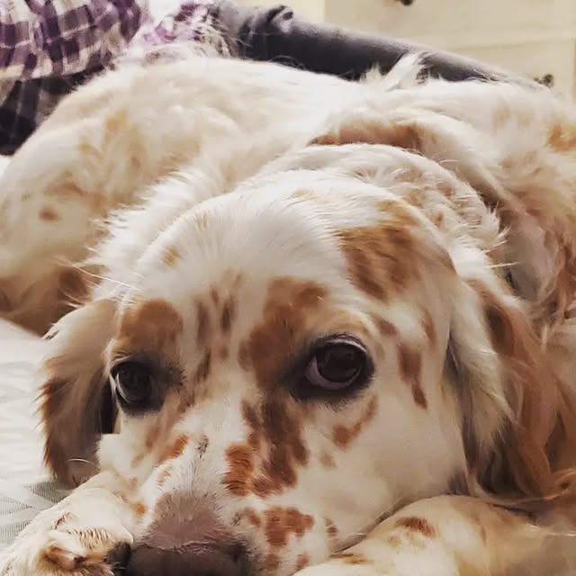 MetrowestKungFu's tweet card. Metrowest Kung Fu (@metrowestkungfu) • Instagram photo