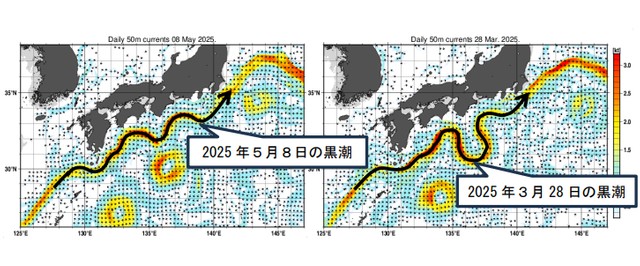 BlogWaral's tweet card. 気象庁は日本列島の太平洋側を流れる黒潮が大きく南に迂回し蛇行する「黒潮大蛇行」に終息の兆しがみえたと発表しました。今回の大蛇行は2017年夏からおよそ8年近く続いていて、過去最長となっていました。