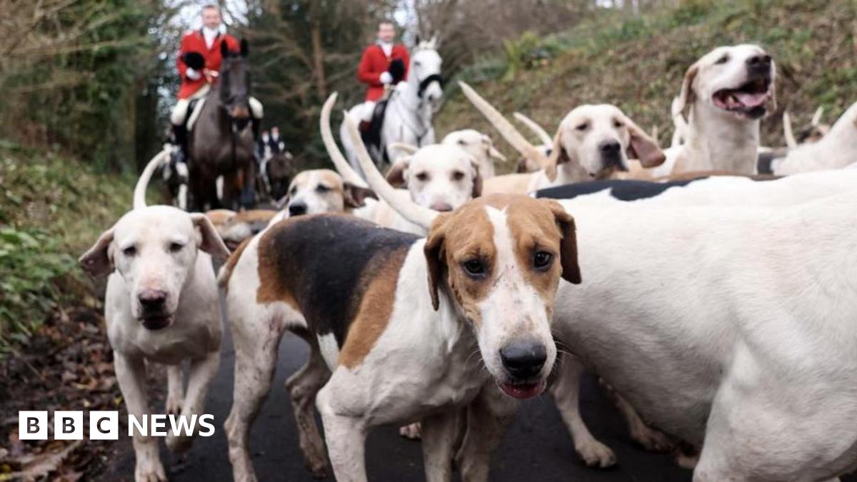 HuntSabs's tweet card. The national policing lead on fox hunting crime believes many hunts are routinely flouting the ban.