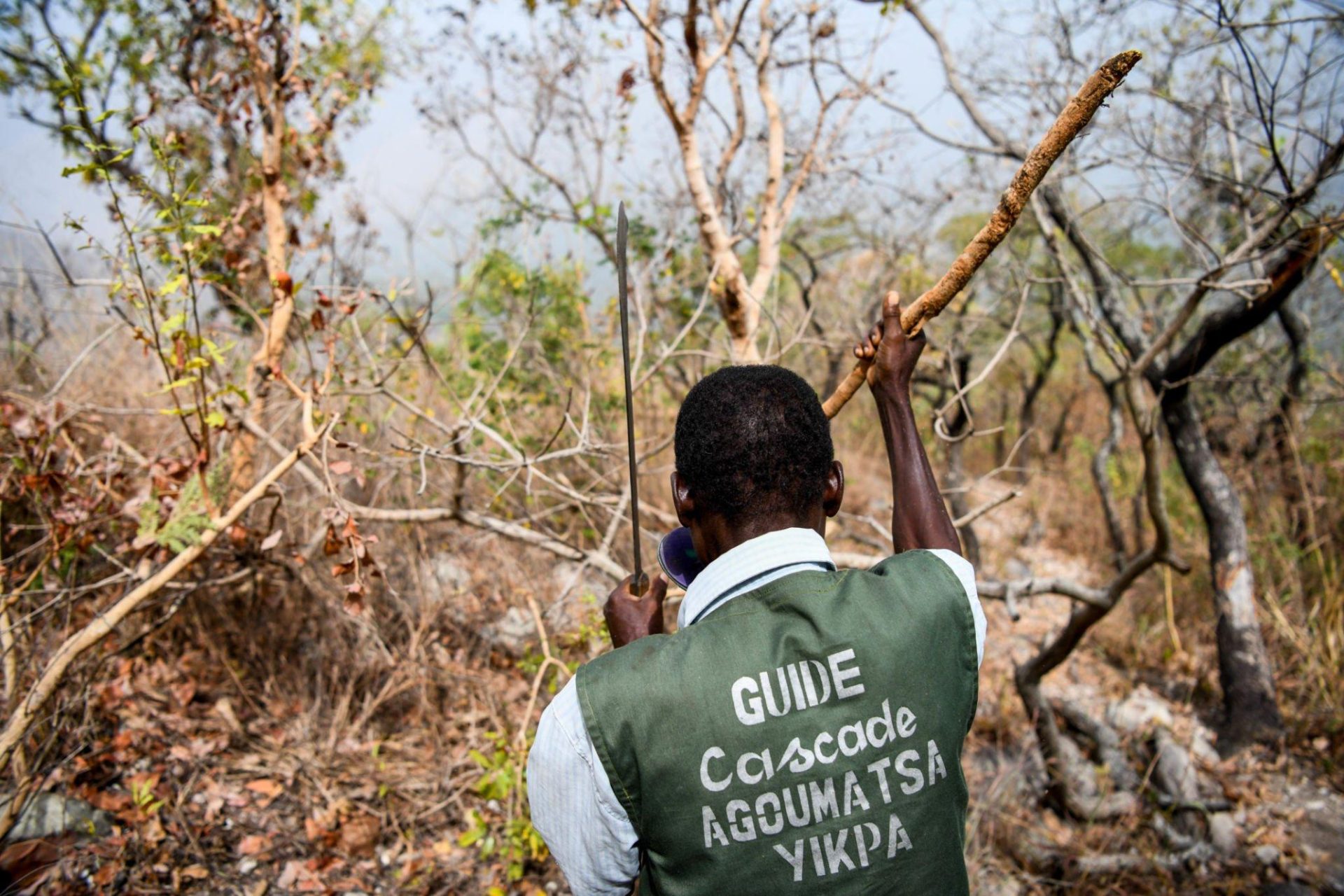 ecostackhq's tweet card. Climate mitigation refers to a set of actions and policies designed to reduce or prevent the emission of greenhouse gases into the atmosphere.