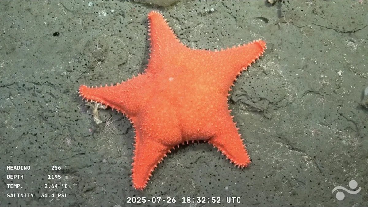 diegokantor's tweet card. Tiempo de lectura: 3 minutos¿Y este malestar de los politizados? ¿Y esta desorientación tan paja? ¿Y este desánimo de política que no se cura? ¿Y este proceso electoral tan larguero que nos está...