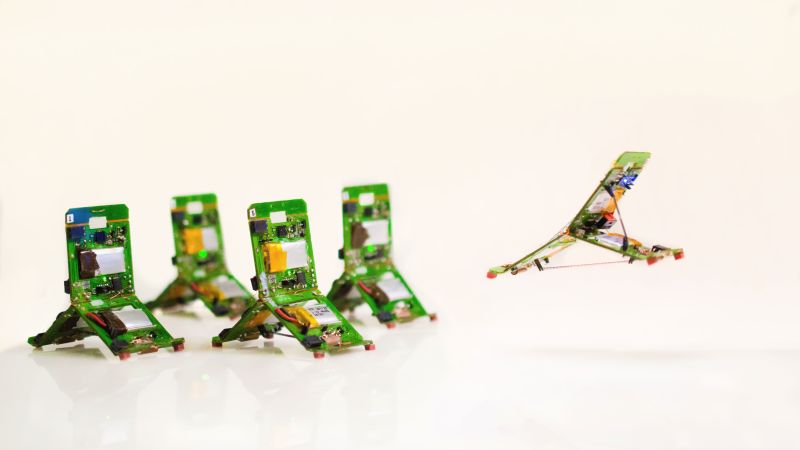 robotician's tweet card. A whole arm of robotics is focusing on insect-size robots – and smaller. What might humans be capable of if we could command a tiny army of simple machines that could fly, skim the water and even...