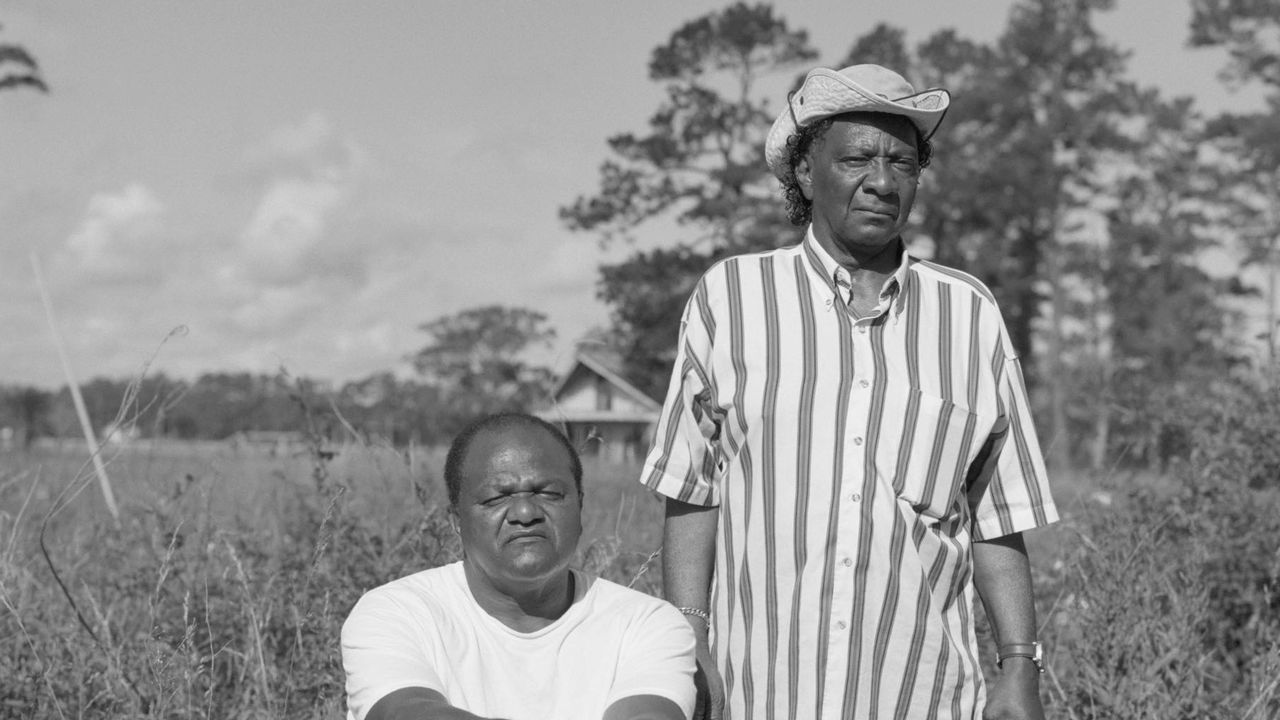 NewYorker's tweet card. Why so many black families are losing their property.