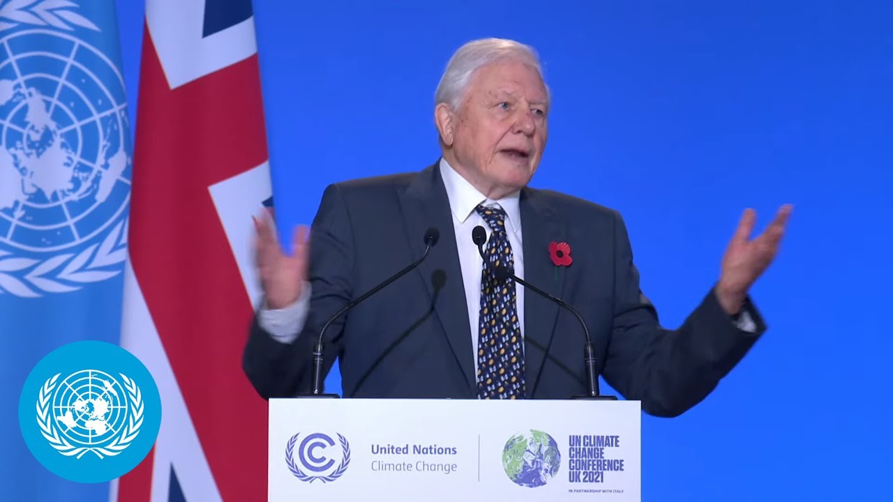 reaccionplaneta's tweet card. David Attenborough, People's Advocate for #COP26, Address to World...