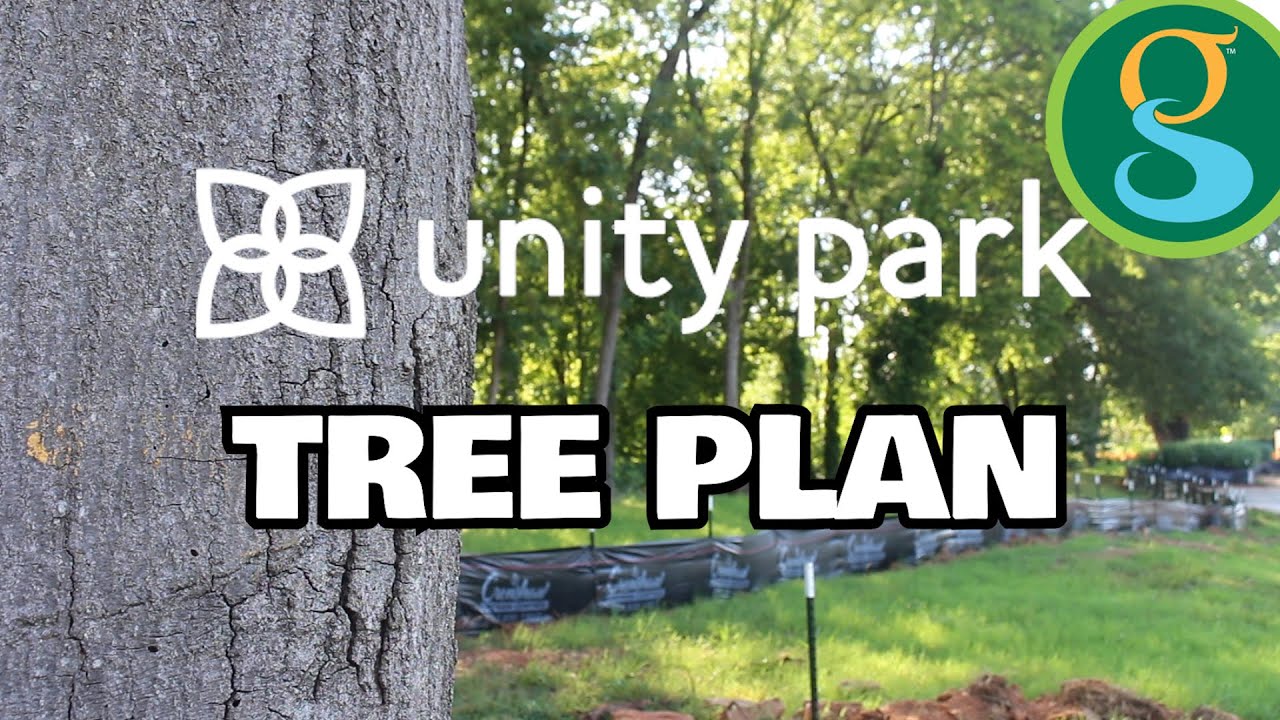 CityGreenville's tweet card. Unity Park Tree Management Plan