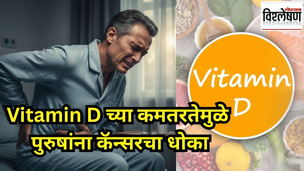 LoksattaLive's tweet card. Low Vitamin D Could Increase The Risk Of Prostate Cancer In Men Rac 97 - Vitamin D Deficiency Cancer Risk अभ्यासातून असे दिसून आले आहे की, व्हिटॅमिन डी असामान्य पेशींचा विकास मंद करू शकते आणि...