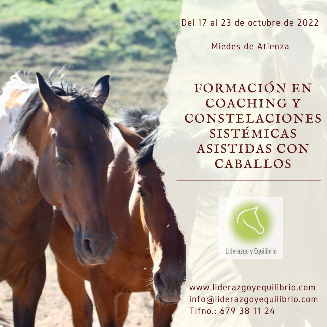 CoachLiderazgo's tweet card. DOBLE FORMACIÓN PRÁCTICA EN COACHING Y CONSTELACIONES SISTÉMICAS ASISTIDAS CON CABALLOS En Miedes de Atienza con nuestra a manada de 12 caballos Objetivos del programa – Promover la autenticidad de...