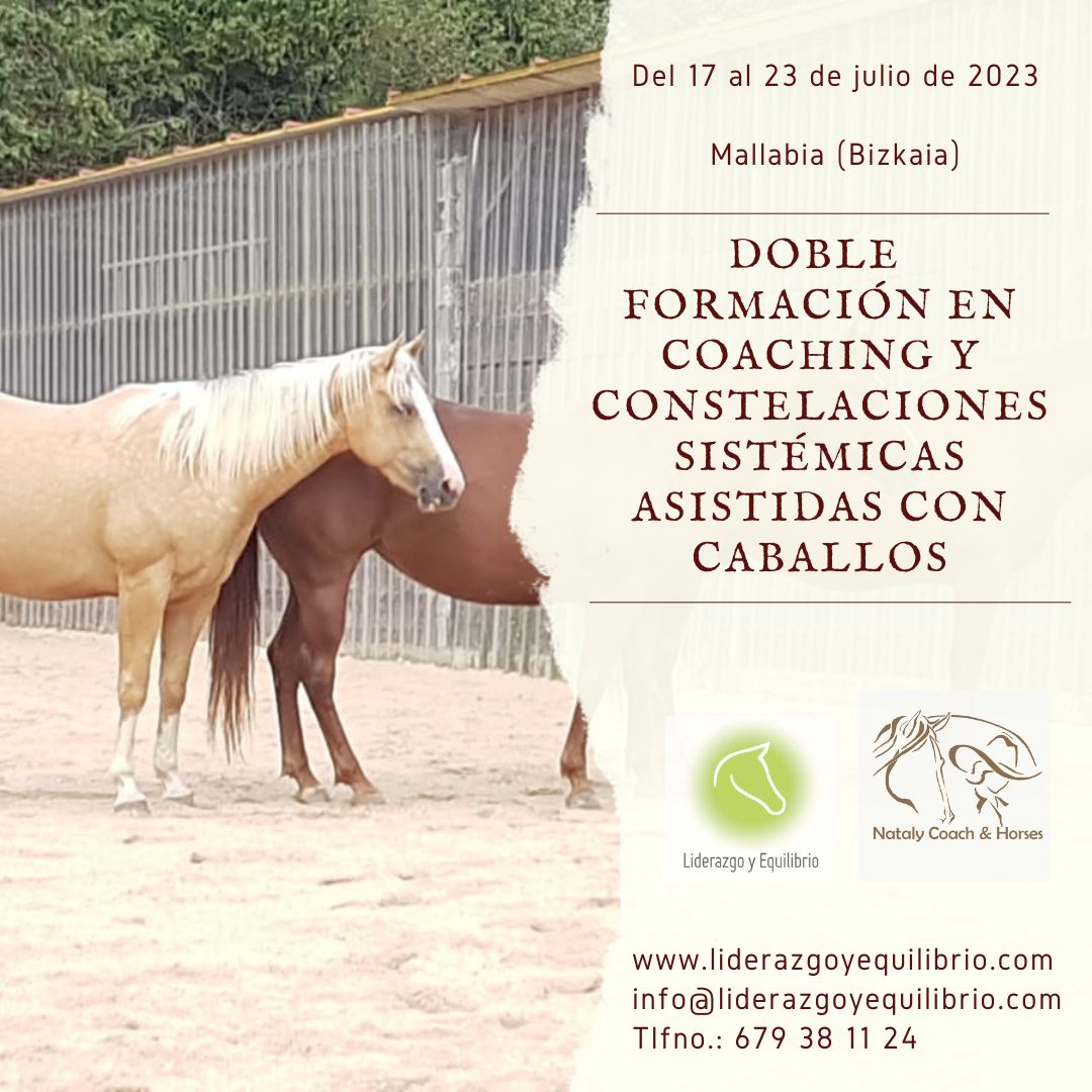 CoachLiderazgo's tweet card. P A I S   V A S CO   /  C AN TA B R I A   / A S T U R I A S Doble formación 🎓 en coaching y constelaciones sistémicas asistidas con caballos Como ya sabéis nuestra principal actividad a lo largo del...