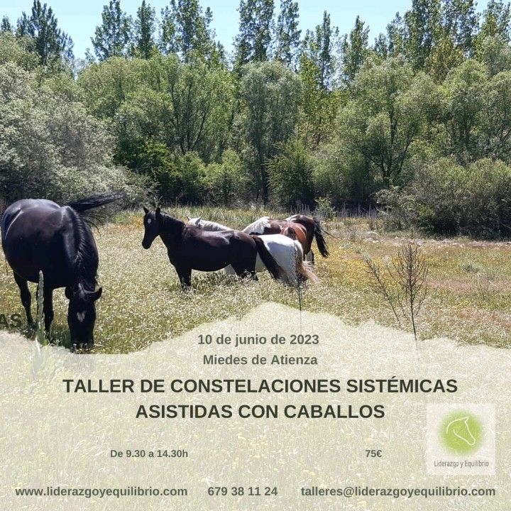 CoachLiderazgo's tweet card. "Permanecer en el amor significa que todo es aceptado tal y como es" Bert Hellinger #psicoterpiasistidaconcaballos #coachingconcaballos #constelacionessistemicasasistidasconcaballos #inteligenciaem...