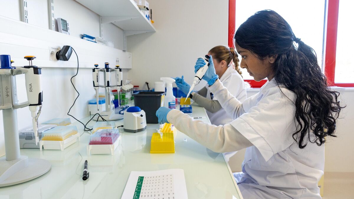 fadouce's tweet card. Cancer, insuffisance rénale, Parkinson, Charcot… Plusieurs maladies pourraient être combattues par l’ARN messager, utilisé pour les vaccins