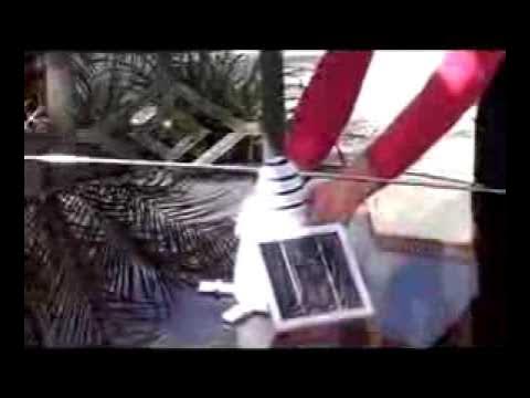 BirdControl's tweet card. The Solar Bird Repeller