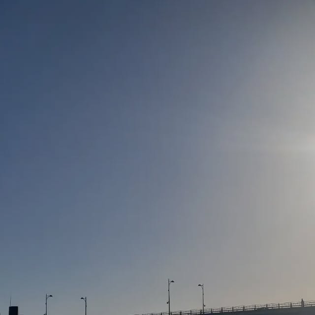 hiyokomama's tweet card. 裏庭 (@hiyoko_hana) • Instagram photos and videos