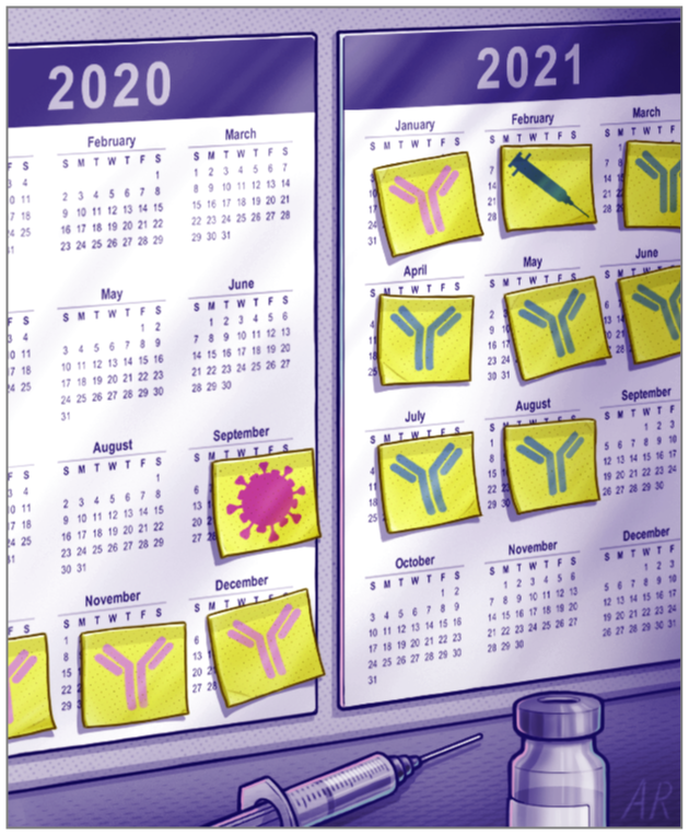 SDECoxHealth's tweet card. This Medical News article discusses the duration of immunity after SARS-CoV-2 infection.