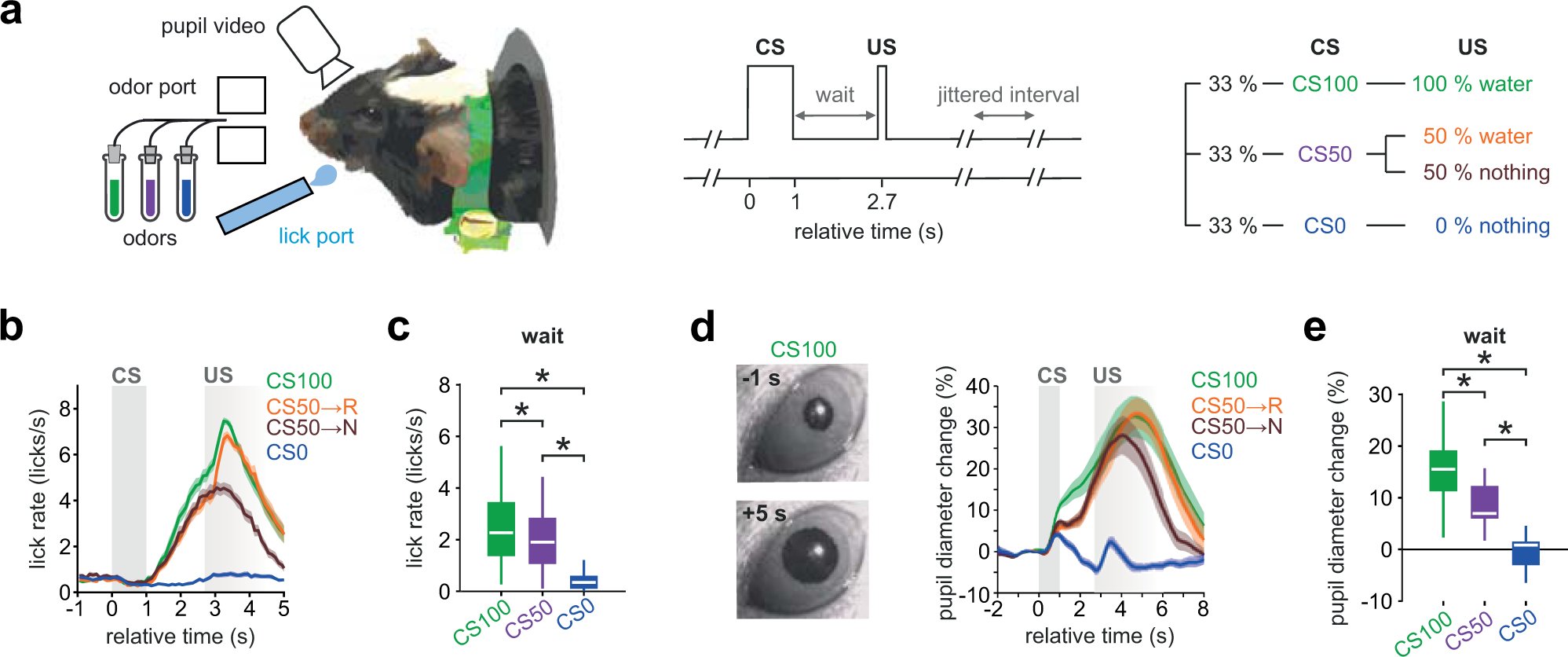 WinkelmeierMD's tweet card. Nature Communications - Where and how the brain learns from experience is not fully understood. Here the authors use a hierarchical approach from behavioural modelling to systems fMRI to cellular...