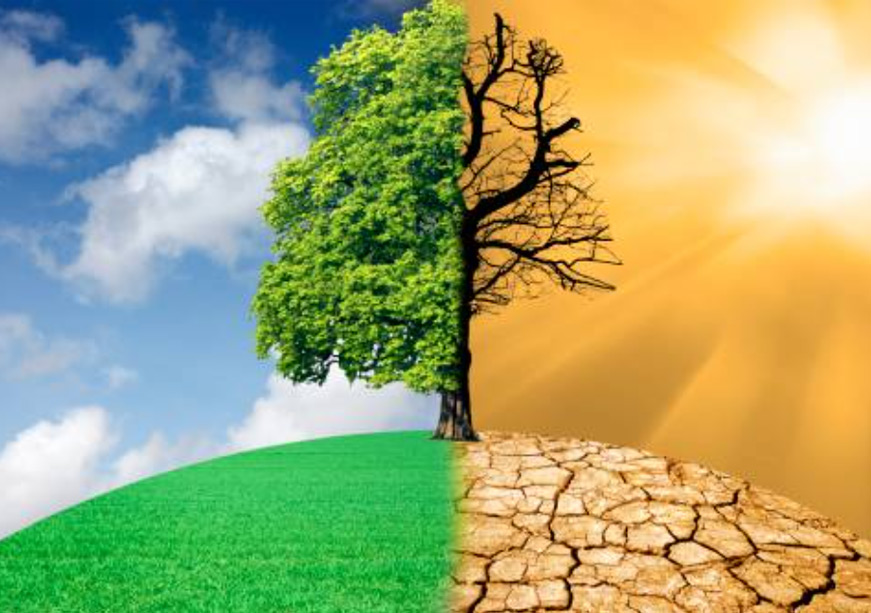 orfmiddleeast's tweet card. Weather indexed insurance offers quick, affordable payouts for farmers and energy firms, improving climate resilience in emerging economies.