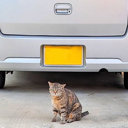 Tweet card summary image