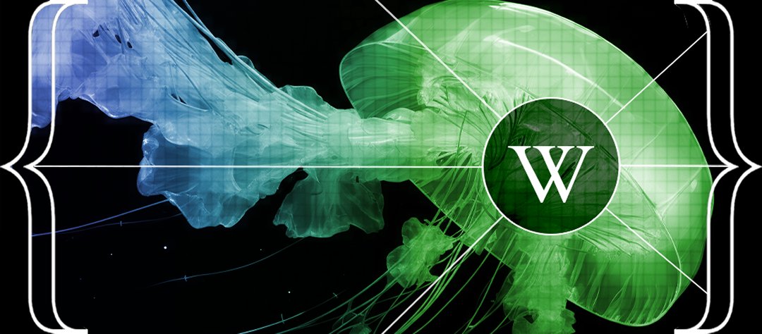 mediawiki's tweet card. The Wikimedia Foundation's new AI strategy doubles down on the volunteers behind Wikipedia.