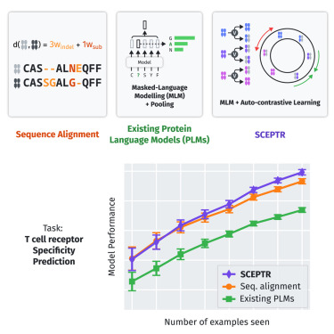 CellSystemsCP's tweet card. How should we train protein language models to predict protein function? This study shows that pre-training using an autocontrastive loss greatly improves transfer learning compared with masked-lan...