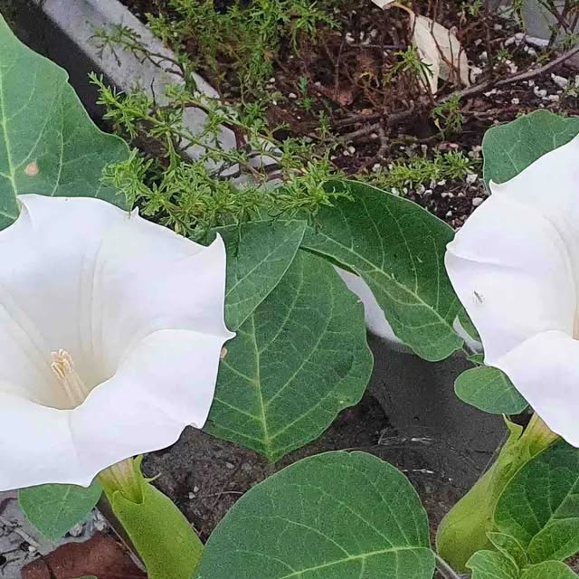 logcorps's tweet card. Jason Shim (@jinseobshim) • Instagram photos and videos