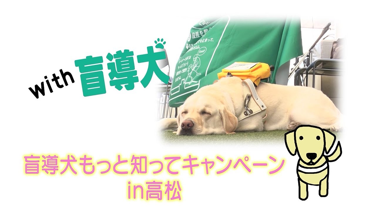 withmoudouken's tweet card. 【With盲導犬】盲導犬もっと知ってキャンペーン in 高松