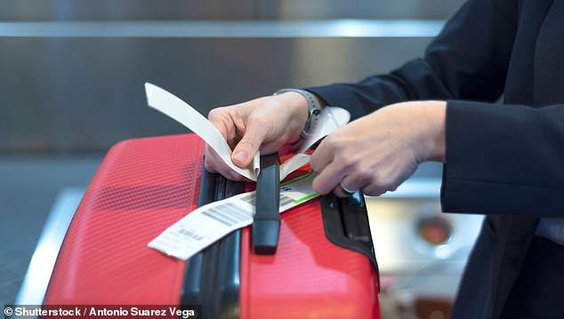 IndonesiaCrowd's tweet card. You've been packing wrong - and it could ruin your holiday, warns expert - https://indonesiacrowd.com/youve-been-packing-wrong-and-it-could-ruin-your-holiday-warns-expert/