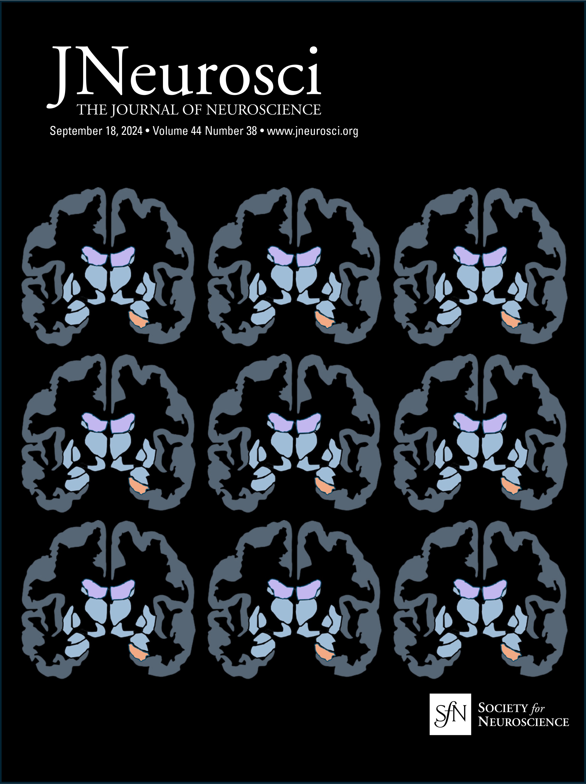 murataelle's tweet card. Circadian, infradian, and seasonal changes in steroid hormone secretion have been tied to changes in brain volume in several mammalian species. However, the relationship between circadian changes in...