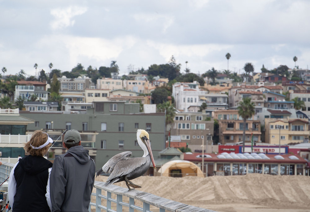 CoachingAda's tweet card. Look at the three photos above. What do you see? Which do you like best, least, and why?Can you tell that they were all taken within 10 minutes of each other and that the photographer (myself) stood...
