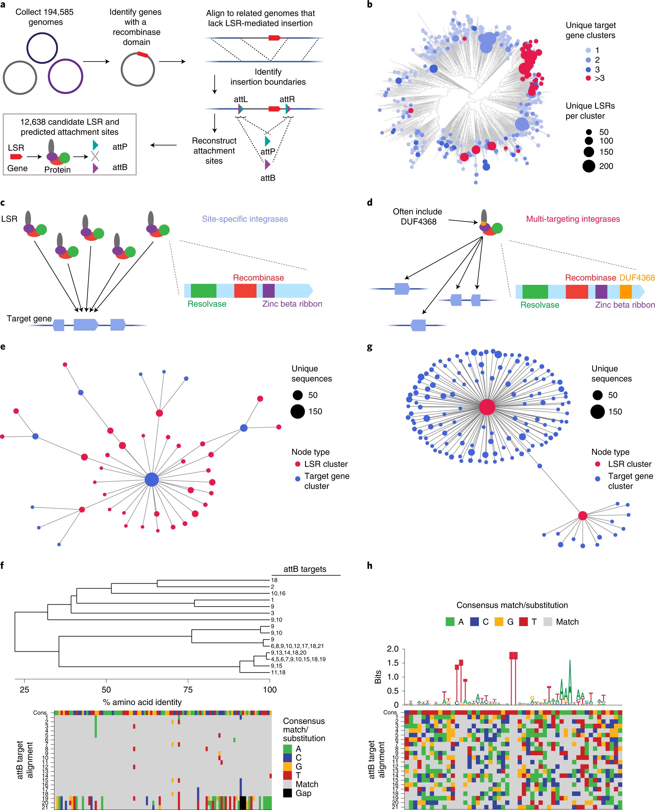 JoshTycko's tweet card. Nature Biotechnology - Screening recombinases identifies tools for inserting large sequences into the human genome.
