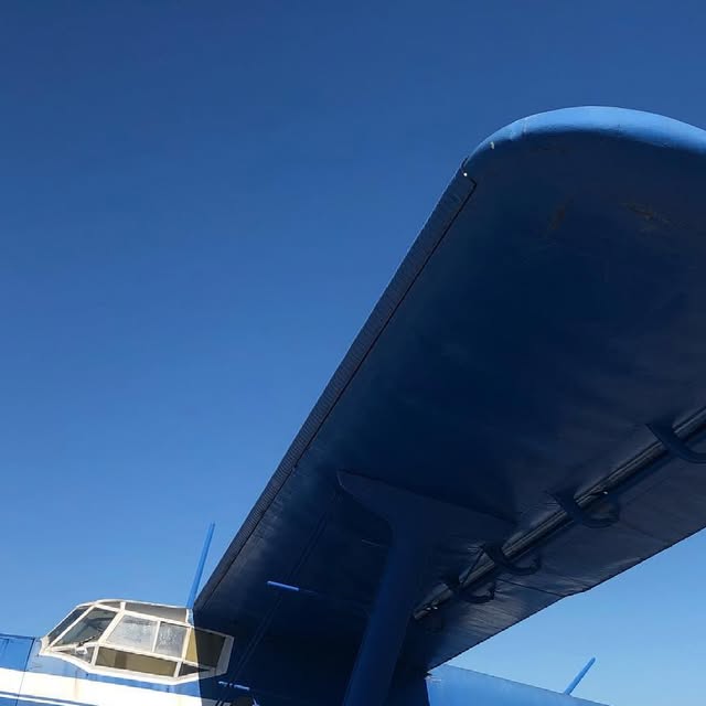 limaecho236's tweet card. Eugen (@limaecho236) • Instagram photos and videos