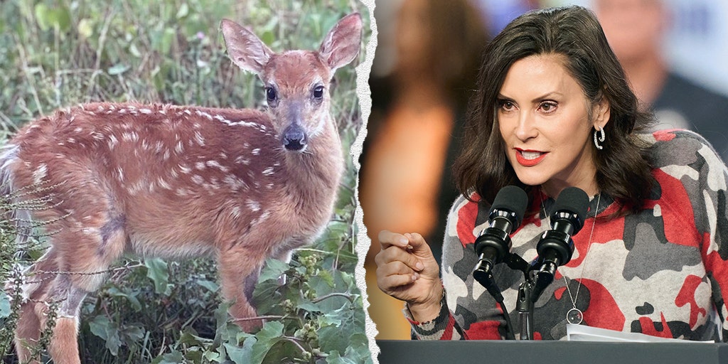 Imported_Fun's tweet card. Whitmer faced bipartisan pressure after her administration ordered a "non-releasable" baby deer and a rescued coyote euthanized over a missed permit deadline.