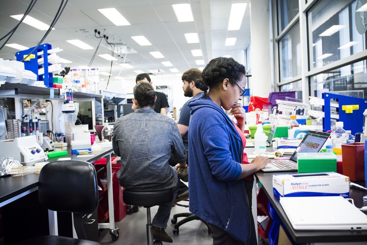 Ginkgo's tweet card. Ginkgo Bioworks Inc., which calls itself an “organism design” company, has agreed to go public in a $17.5 billion merger with a blank-check firm backed by former Hollywood executive Harry Sloan.