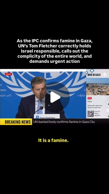 TheGuyPearce's tweet card. Now In Palestine (@now.inpalestine) • Instagram reel