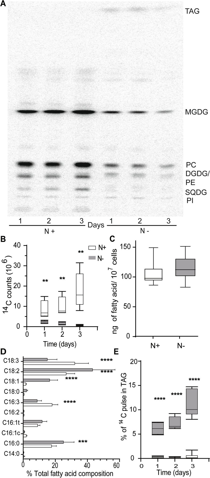 yokoyama_ryo's tweet card. BMC Plant Biology - When subject to stress conditions such as nutrient limitation microalgae accumulate triacylglycerol (TAG). Fatty acid, a substrate for TAG synthesis is derived from de novo...