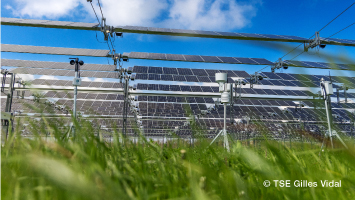 ST_World's tweet card. TSE, a leading player in solar energy and agrivoltaics in France, and STMicroelectronics (NYSE:STM), a global semiconductor leader serving customers...