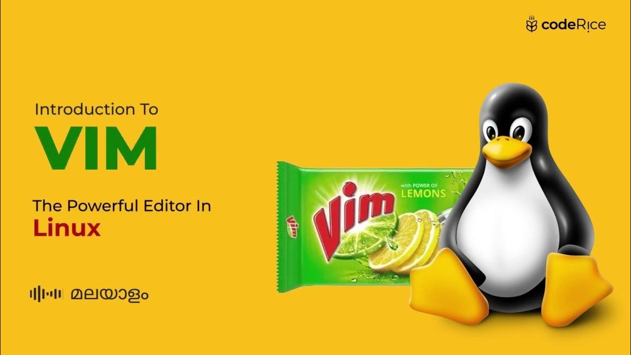 Coderice1's tweet card. Introduction to VI (VIM), the powerful editor in linux (Malayalam)...
