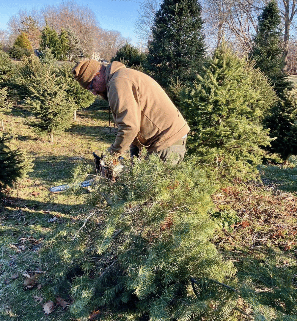 RINewsToday's tweet card. Rhode Island news Outdoors in RI: Pick a Real Christmas Tree - Get-Ready-to-Fish Gift - Outdoors with your Pet
