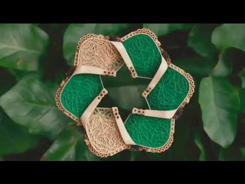 MattVeganCoder's tweet card. Best Vegan Technologies for Planetary Regeneration !!